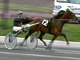 SCOMMESSE IPPICA