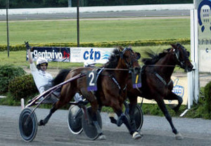 Scommesse sulle corse ippiche