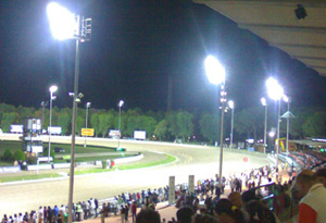 Un ippodromo in notturna Un ippodromo in notturna