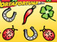 Gratta e Vinci Portafortuna